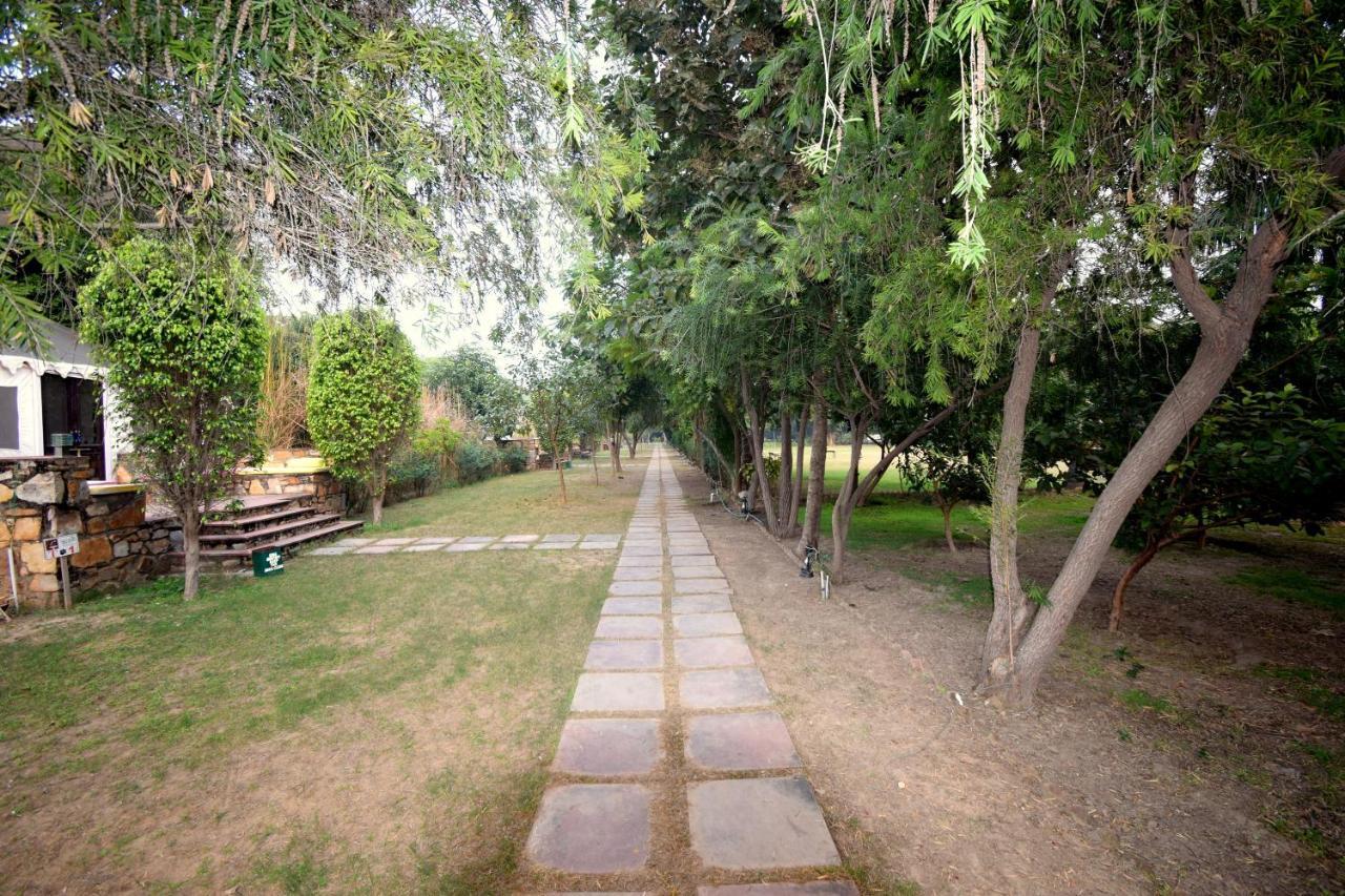 Sultan Bagh Resort By The Sky Imperial Sawai Madhopur Buitenkant foto