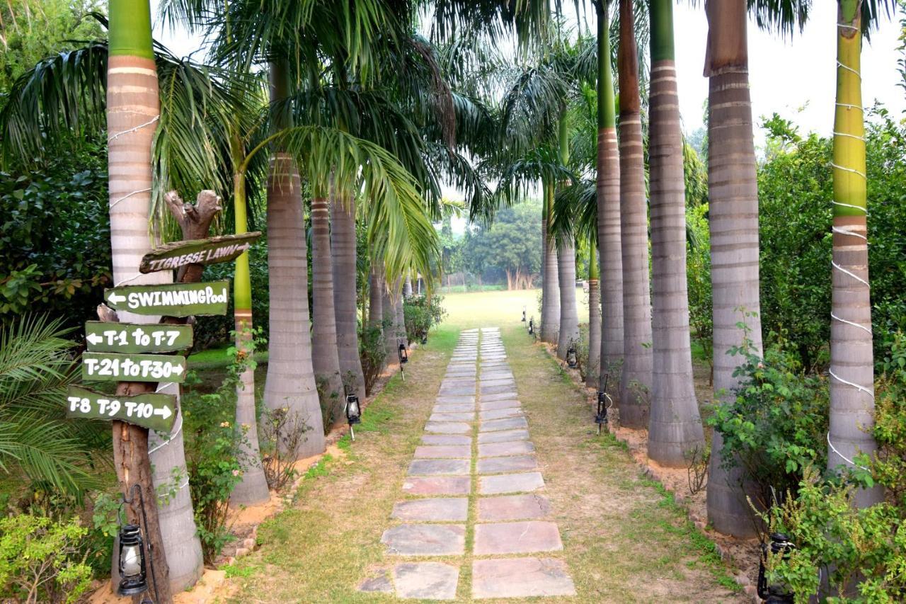 Sultan Bagh Resort By The Sky Imperial Sawai Madhopur Buitenkant foto