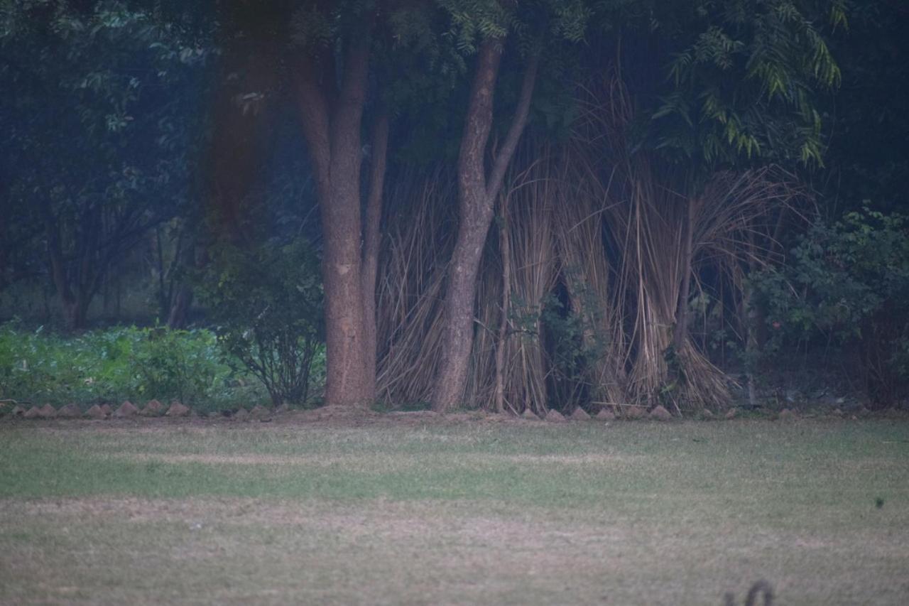 Sultan Bagh Resort By The Sky Imperial Sawai Madhopur Buitenkant foto